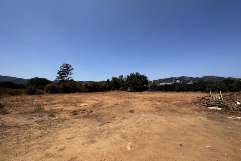 Alikianos Kreta - Alikianos: Flaches Baugrundstück, perfekt für Ihr Traumhaus Grundstück kaufen